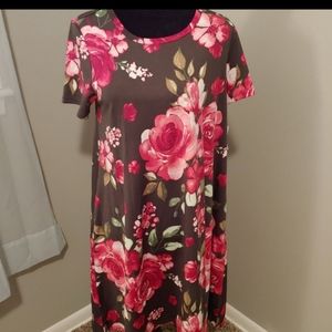 NWT Lularoe Jessie dress with pockets!